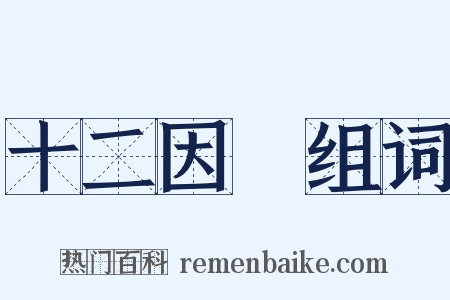 十二因緣组词是什么意思的图片
